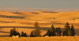Kootenai Health Breaks Ground on New Prairie Medical Campus in North Idaho