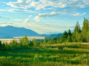 WHERE NORTH IDAHO GATHERS: Where we learn where food comes from